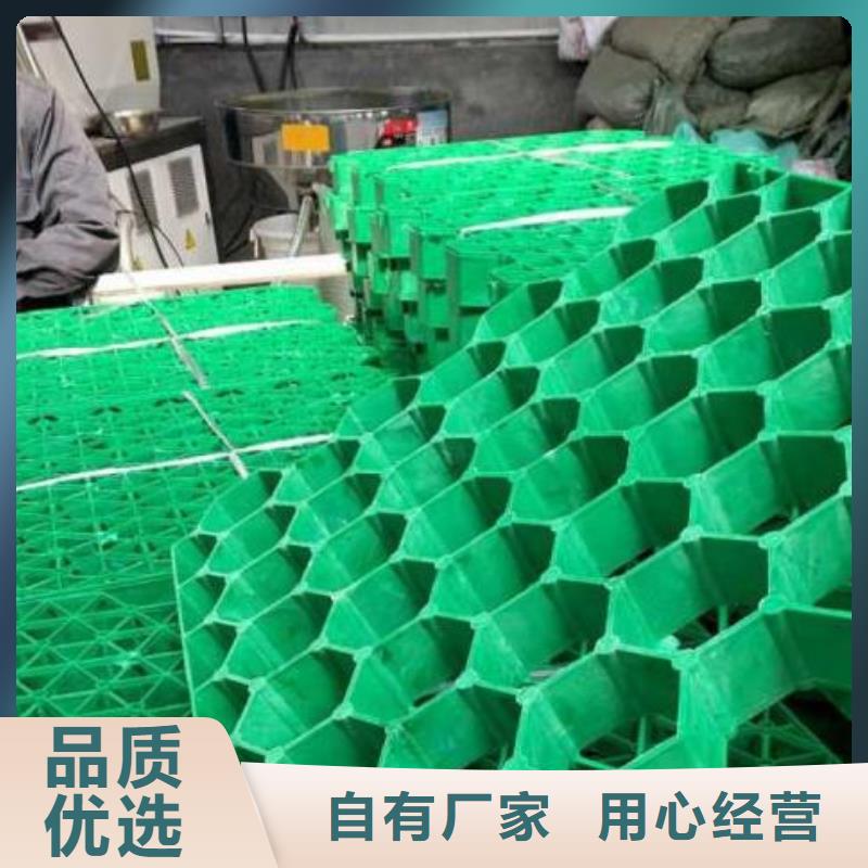 植草格水泥化粪池实力公司