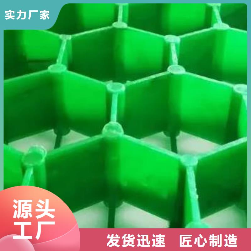 【植草格排水板专业生产N年】