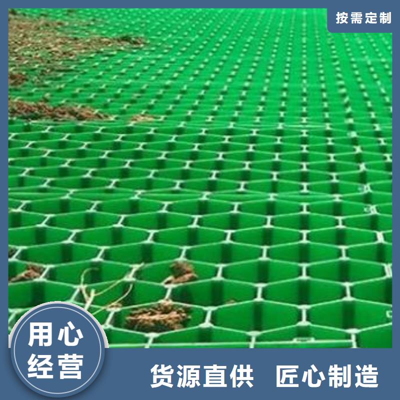 【植草格】_水泥化粪池采购无忧