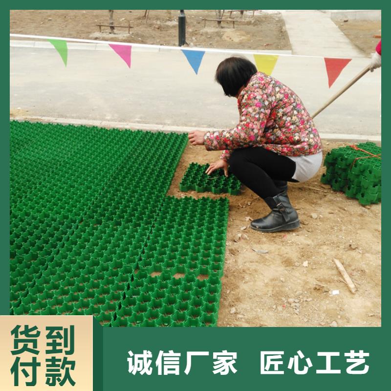 【植草格防护虹吸排水收集系统厂家直销供货稳定】