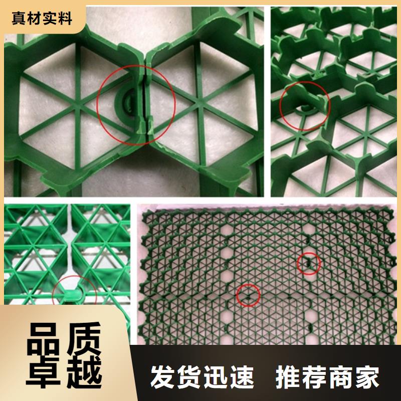 植草格水泥化粪池实力公司