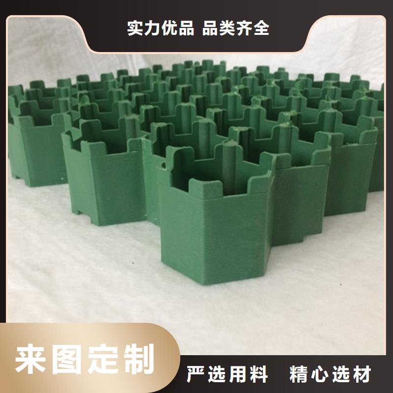 植草格【化粪池水泥】好品质经得住考验