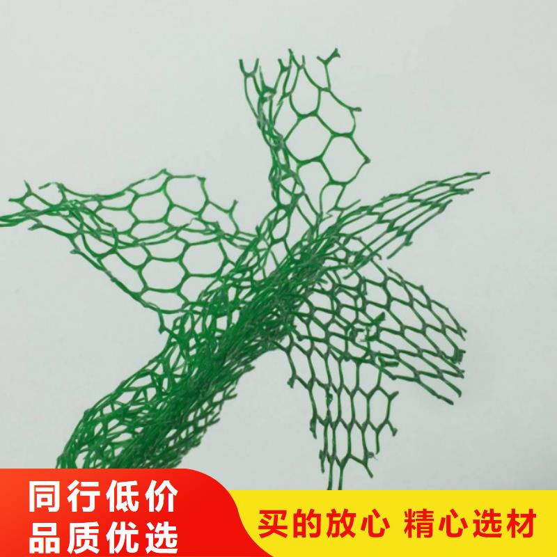 三维植被网【排水板】生产厂家