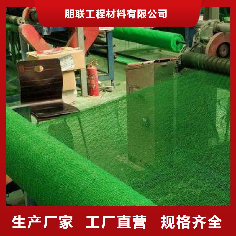 三维植被网【化粪池水泥】当地货源