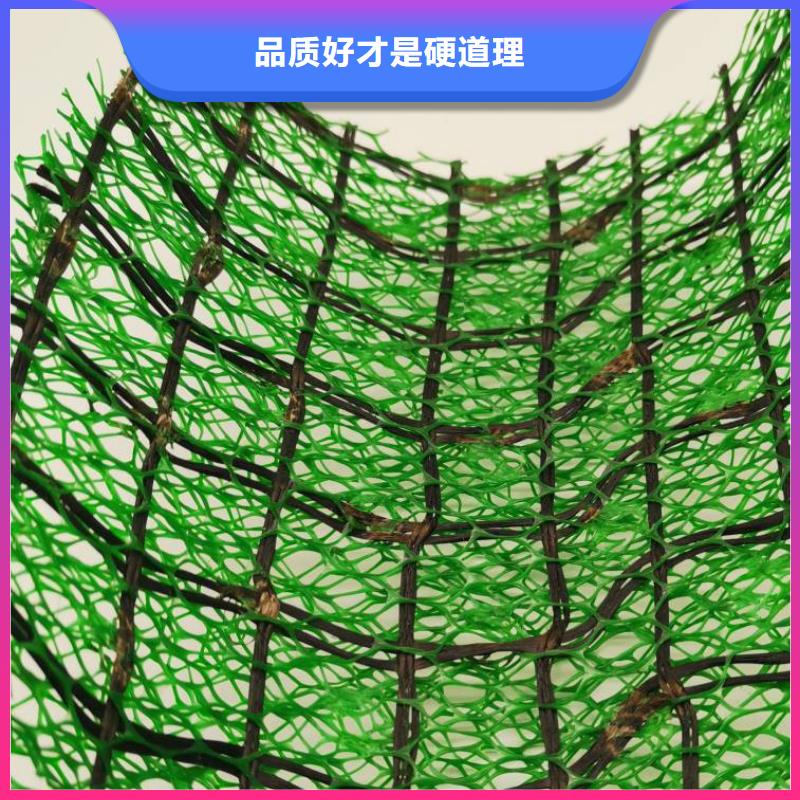 三维植被网【植草格】出货快