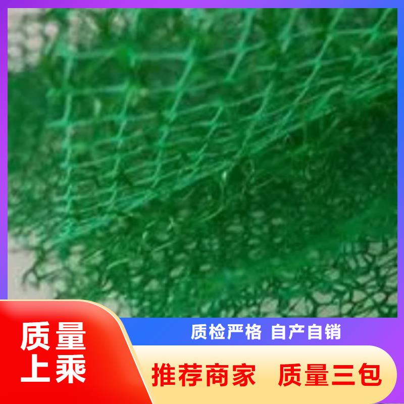 【三维植被网水泥化粪池欢迎来电咨询】