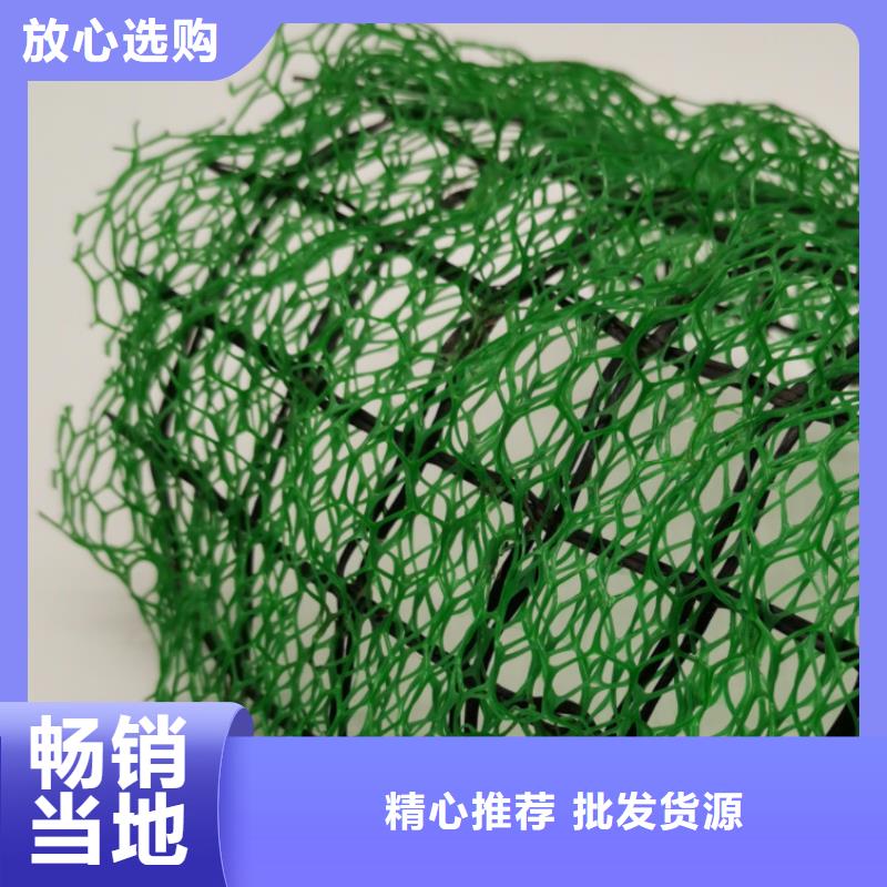 三维植被网【植草格】匠心打造