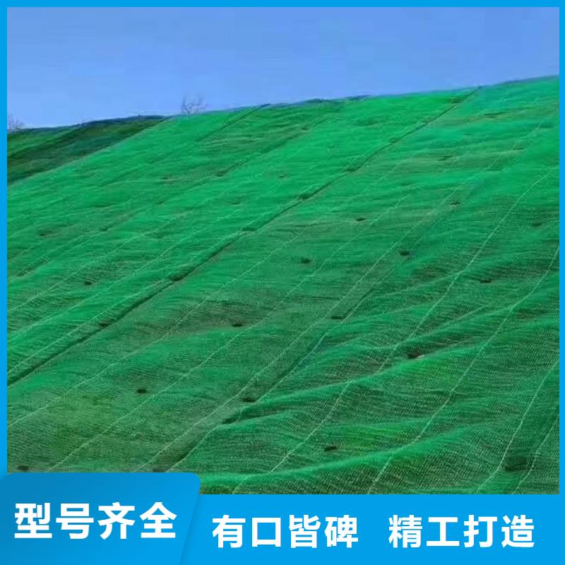 三维植被网_植草格N年大品牌