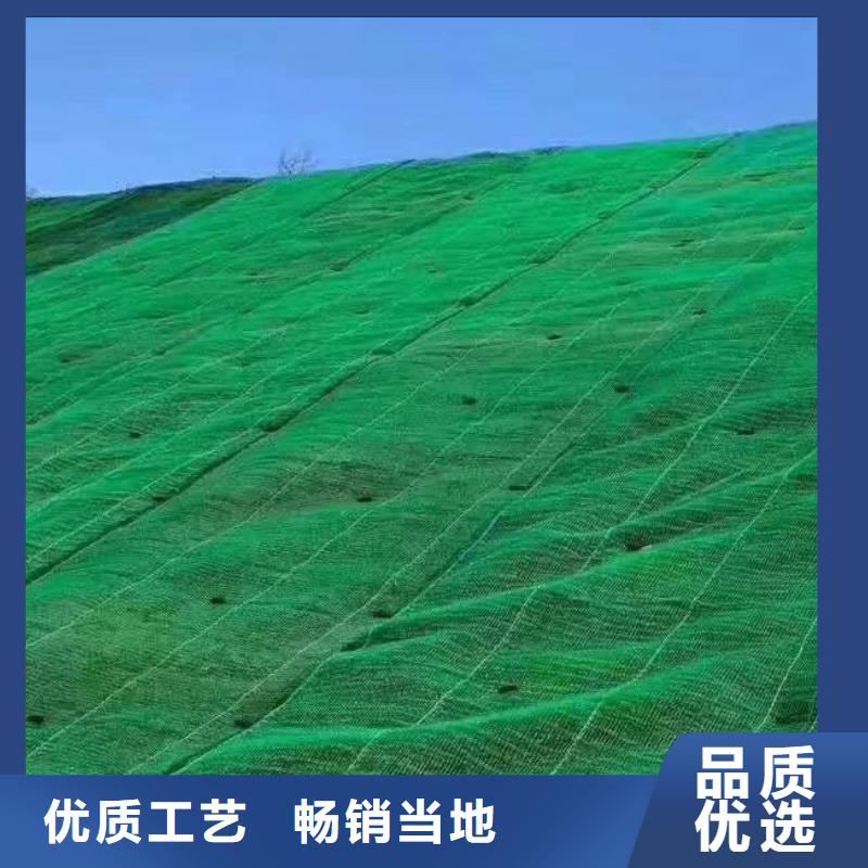 三维植被网-水泥化粪池定制零售批发