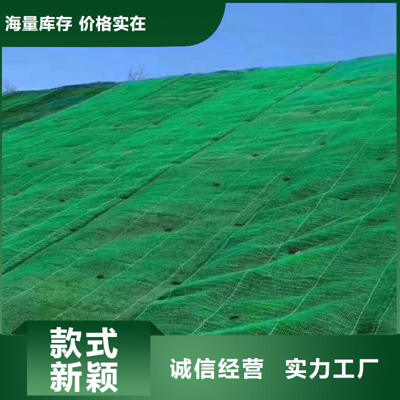 【三维植被网防护虹吸排水收集系统来图定制】