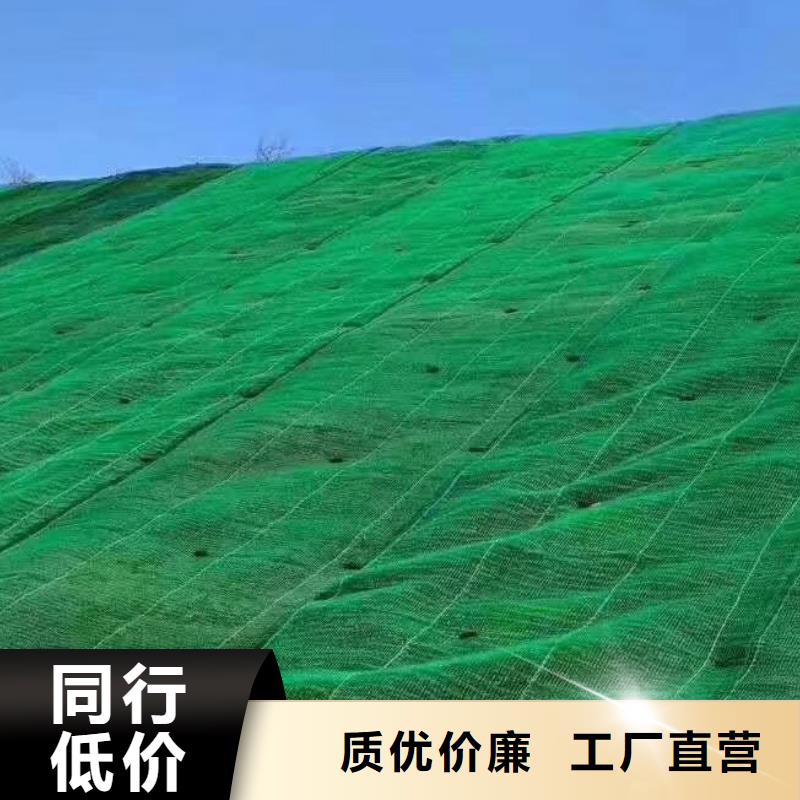 【三维植被网水泥化粪池应用领域】