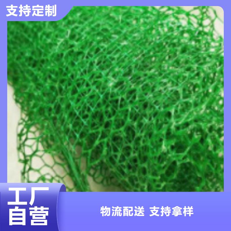 三维植被网植草格全新升级品质保障