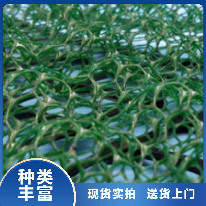 三维植被网【植草格】打造好品质