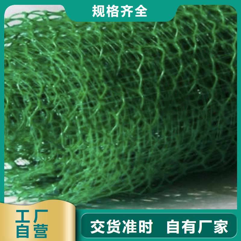 三维植被网排水板经验丰富品质可靠