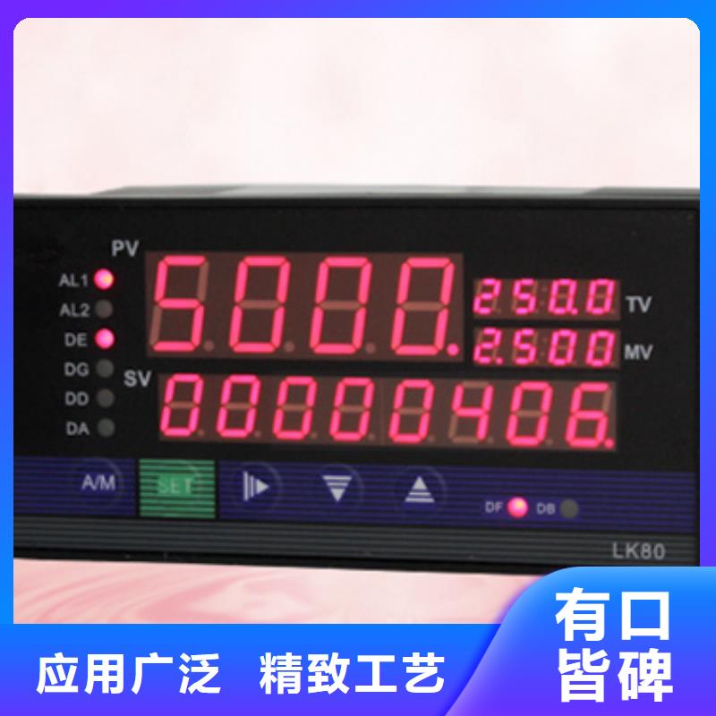 服务周到的SWP-ASR112-1-0/JB4经销商