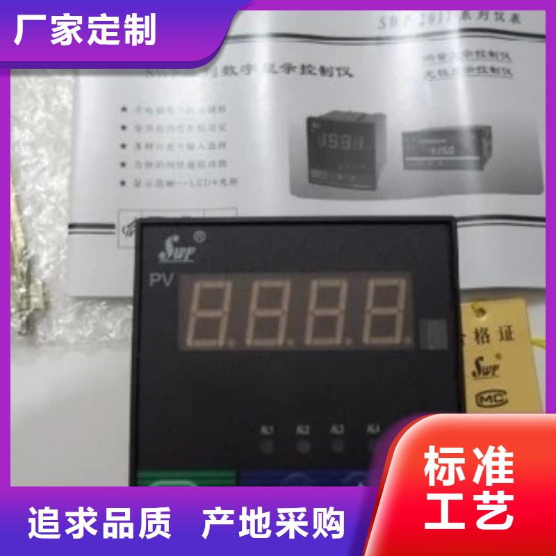 常年供应SWP-ASR110-1-0/JB8-放心