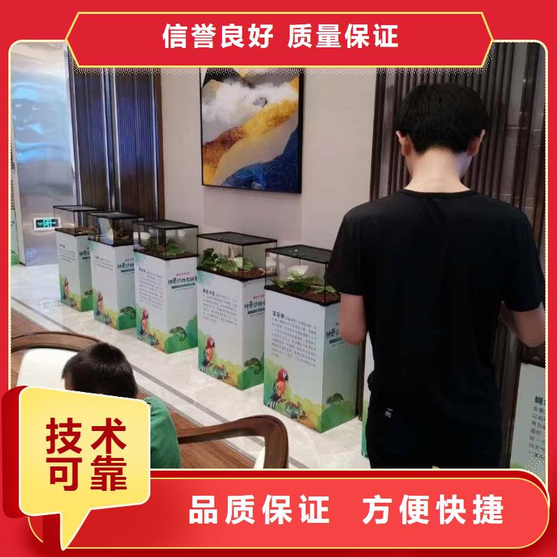 马戏团/羊驼海洋展租赁高效