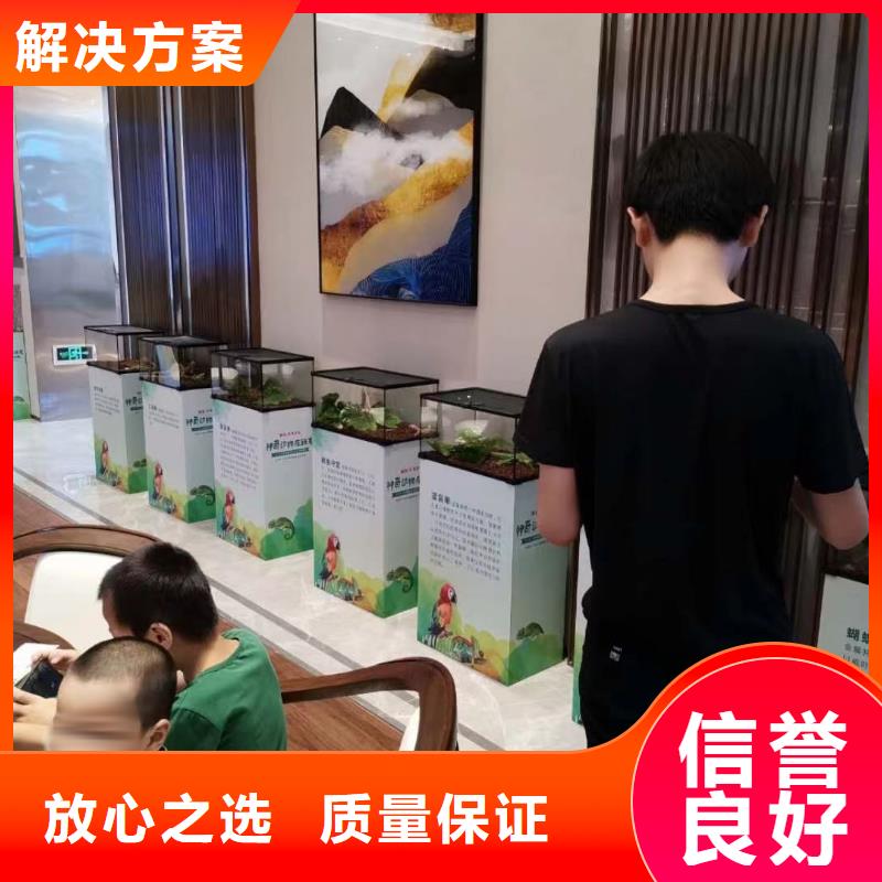 马戏团/羊驼企鹅租赁质量保证