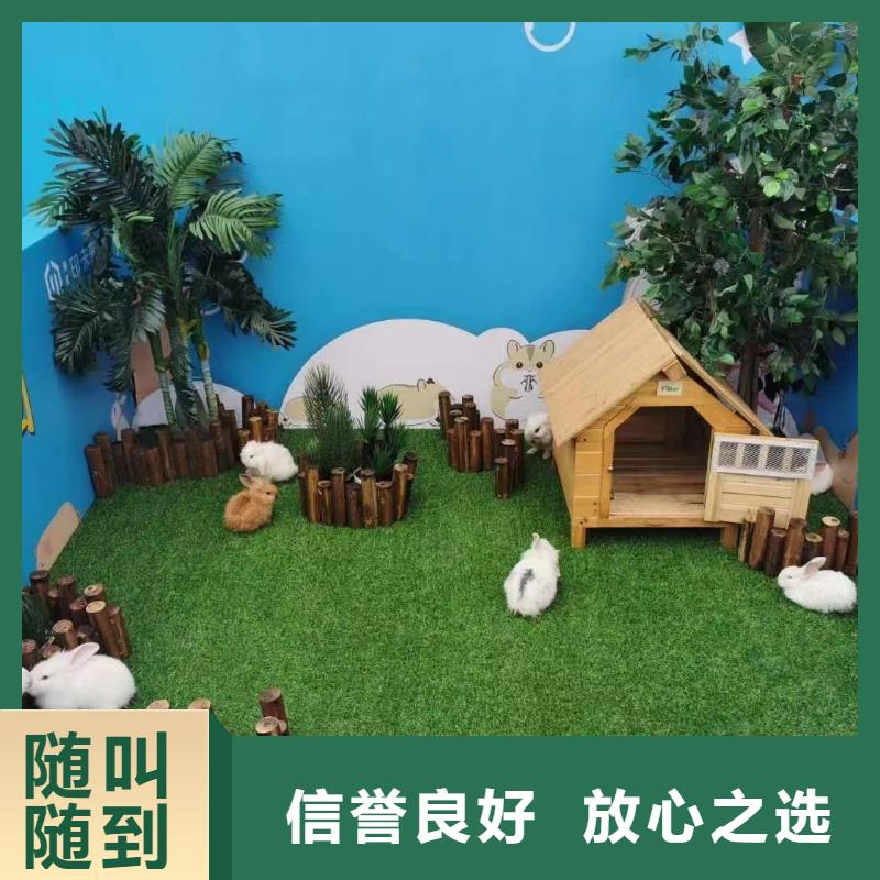 马戏团/羊驼海洋展租赁正规