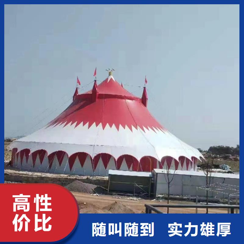 马戏团/羊驼_商场马戏表演出租专业服务