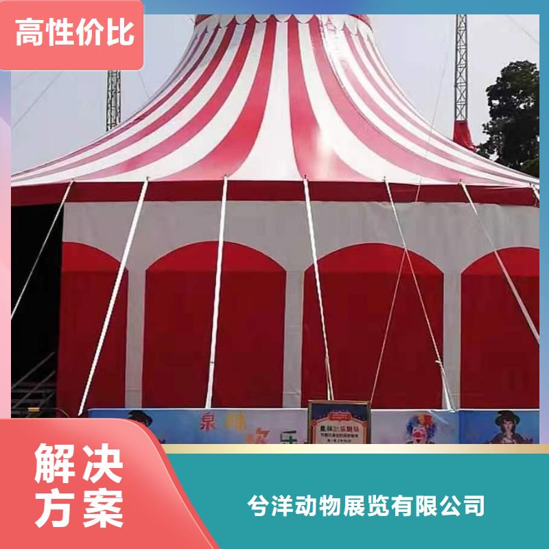 【马戏团/羊驼出租马戏表演价格美丽】