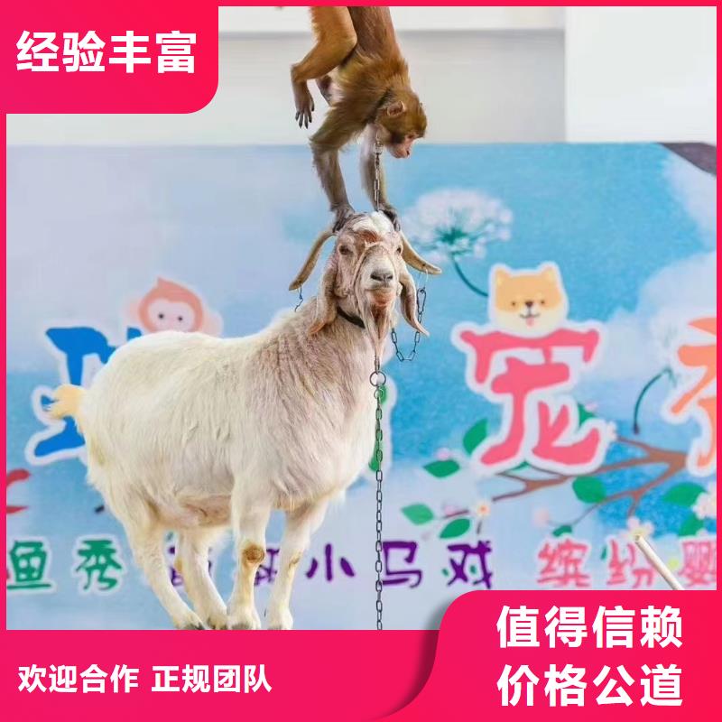 马戏团/羊驼水族海洋展售后保障