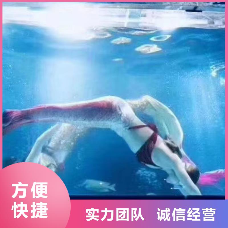 海洋主题动物表演【活体羊驼租赁】售后保障