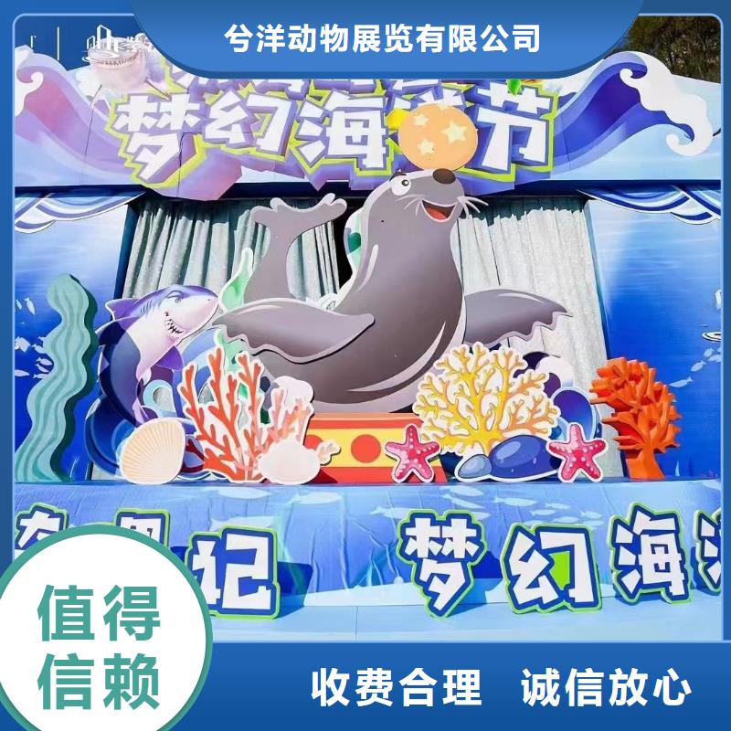 海洋主题动物表演水族海洋展2024专业的团队