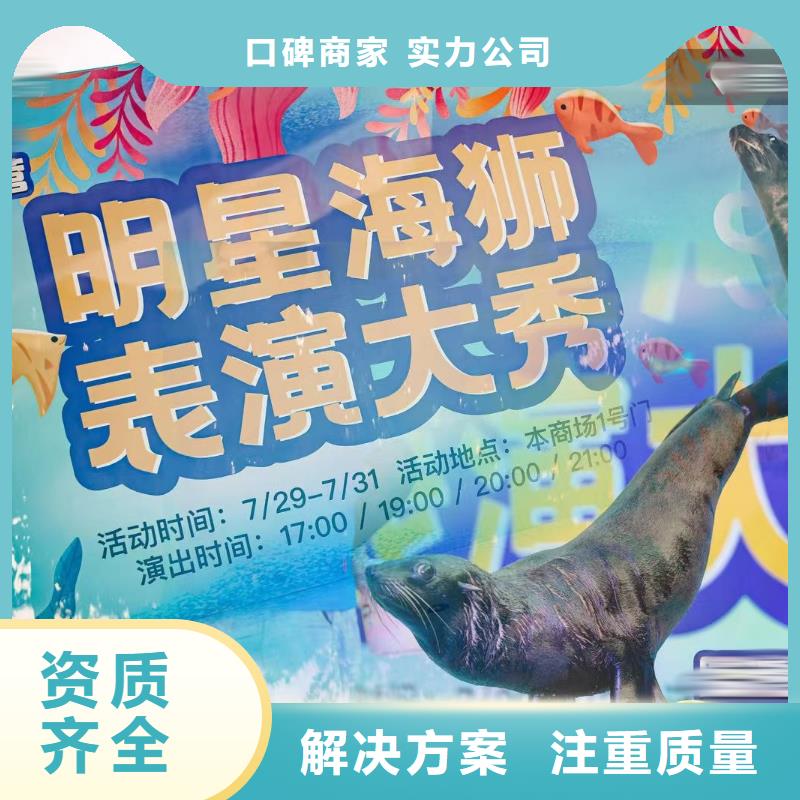 海洋主题动物表演_海洋展租赁诚信放心