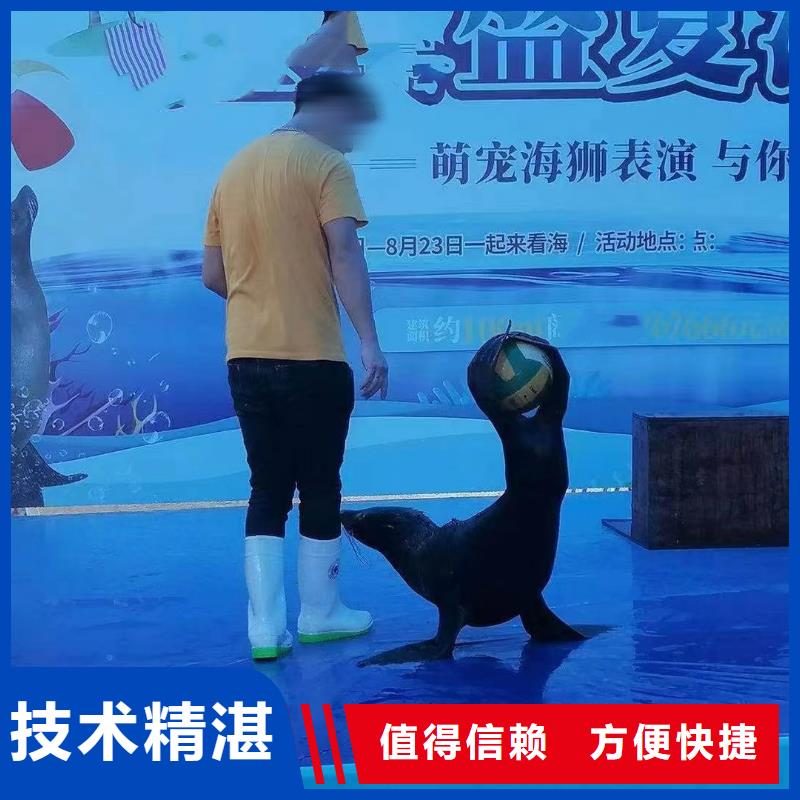 海洋主题动物表演水族海洋展2024专业的团队