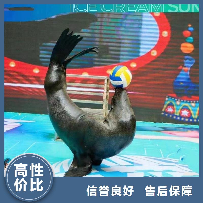 【海洋主题动物表演水族海洋展好评度高】