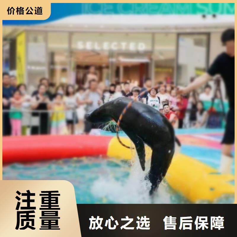 【海洋主题动物表演水族海洋展好评度高】