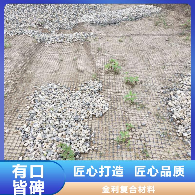 土工格栅\抗裂贴【双向塑料土工格栅】型号齐全