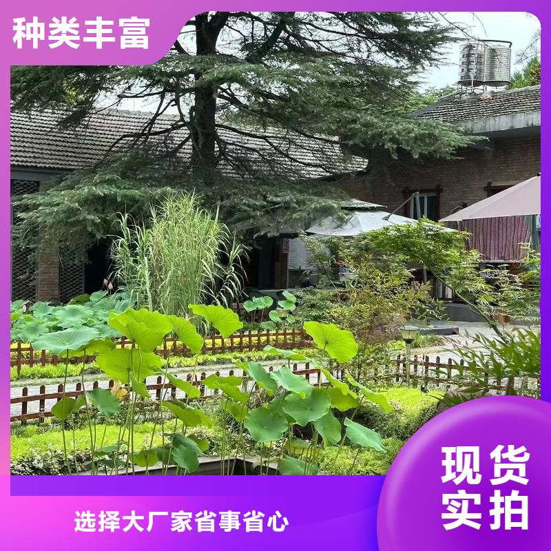 县轻钢房屋支持定制