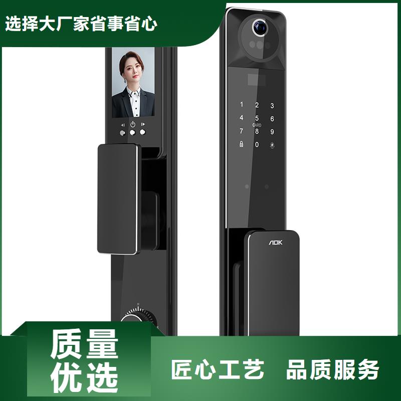 智能锁人脸识别智能锁厂家实拍展现