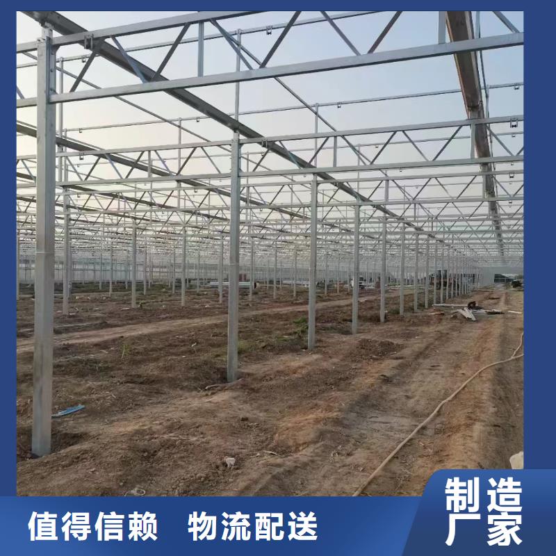 温室大棚养殖大棚建设好货直销