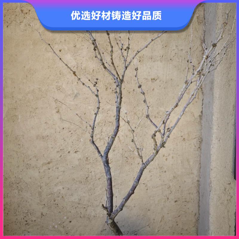 稻草漆怎么代理质量保证