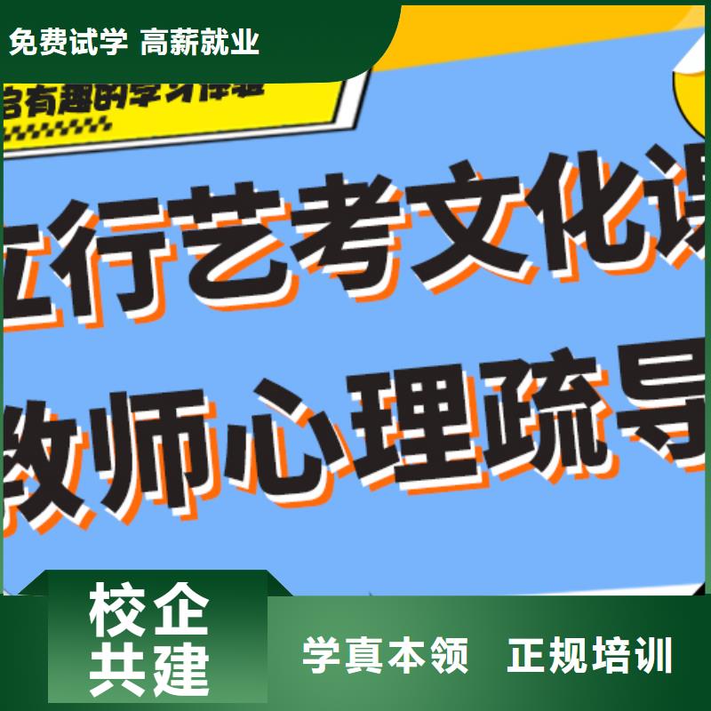 艺考生文化课补习学校有什么选择标准吗