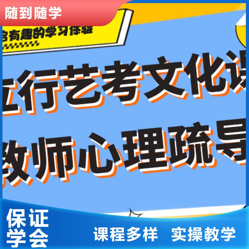 艺考生文化课培训补习价格老师经验丰富