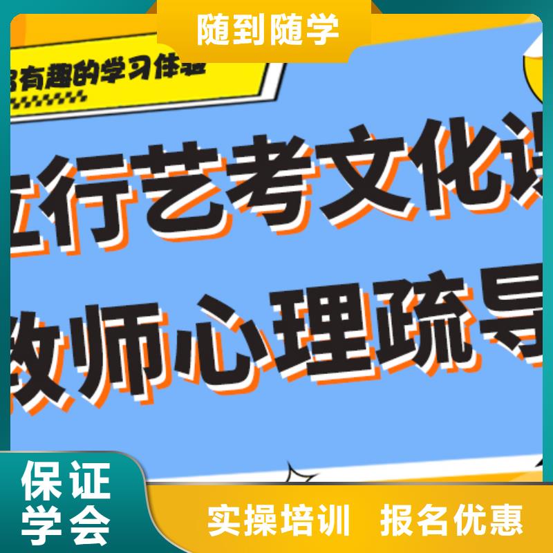 一览表艺术生文化课培训补习艺考生文化课专用教材