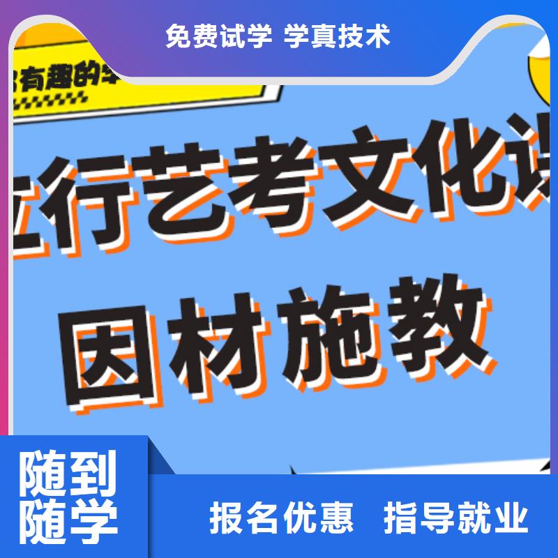 一览表艺术生文化课补习机构定制专属课程