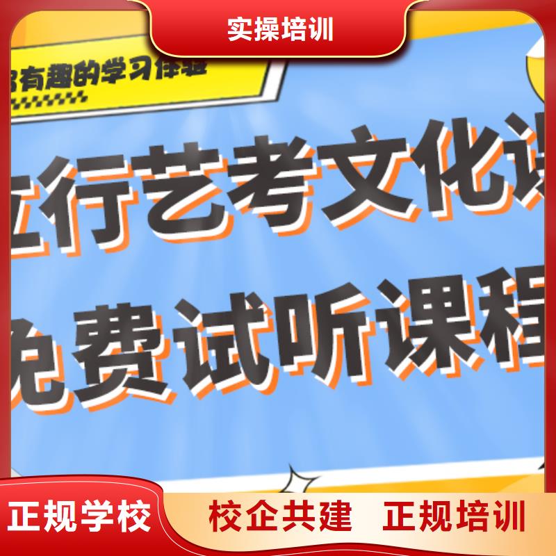 一览表艺术生文化课补习机构定制专属课程