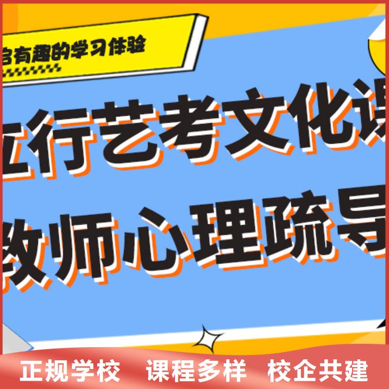 艺术生文化课集训冲刺哪家好小班授课模式