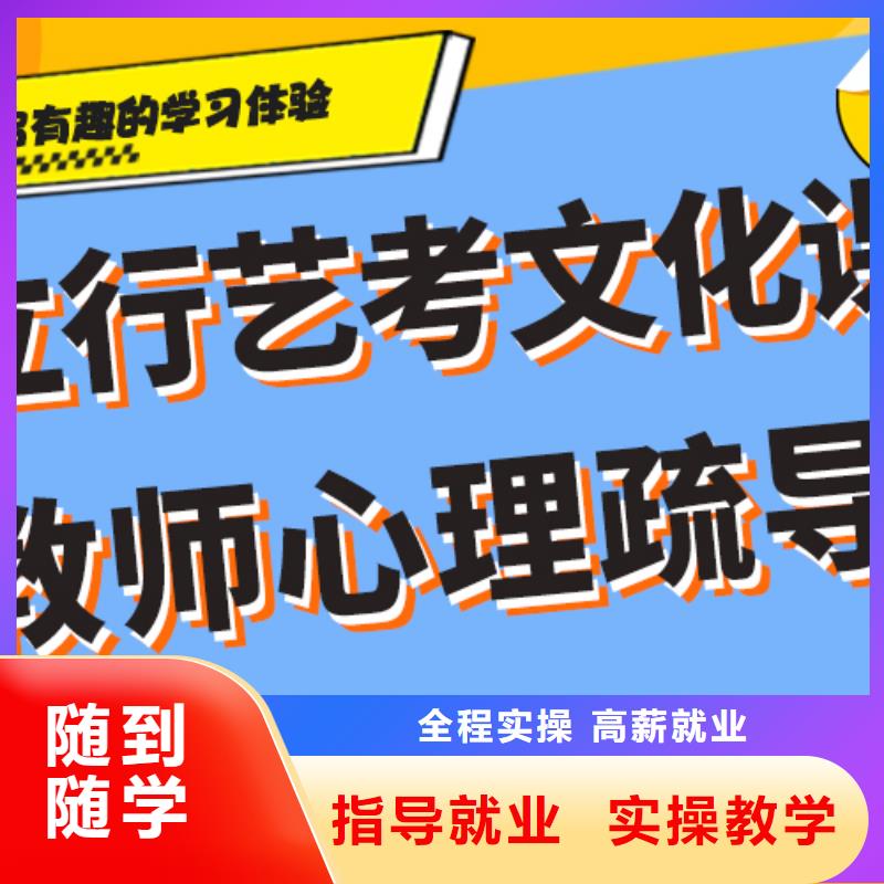 艺术生文化课辅导集训学费定制专属课程