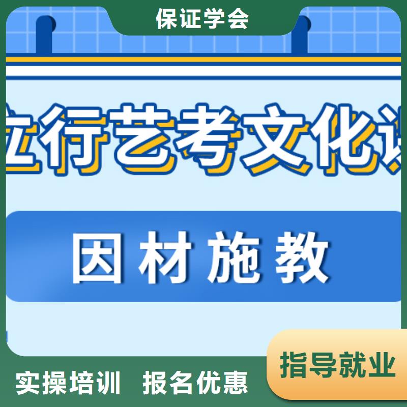 艺术生文化课辅导集训学费定制专属课程