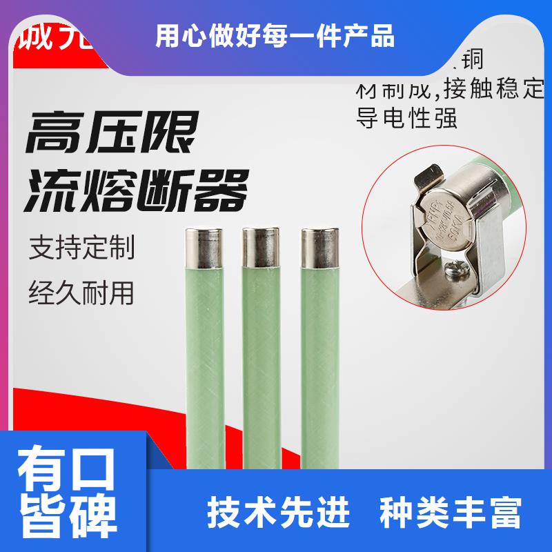 XRNP-7.2kv/0.5A限流熔断器