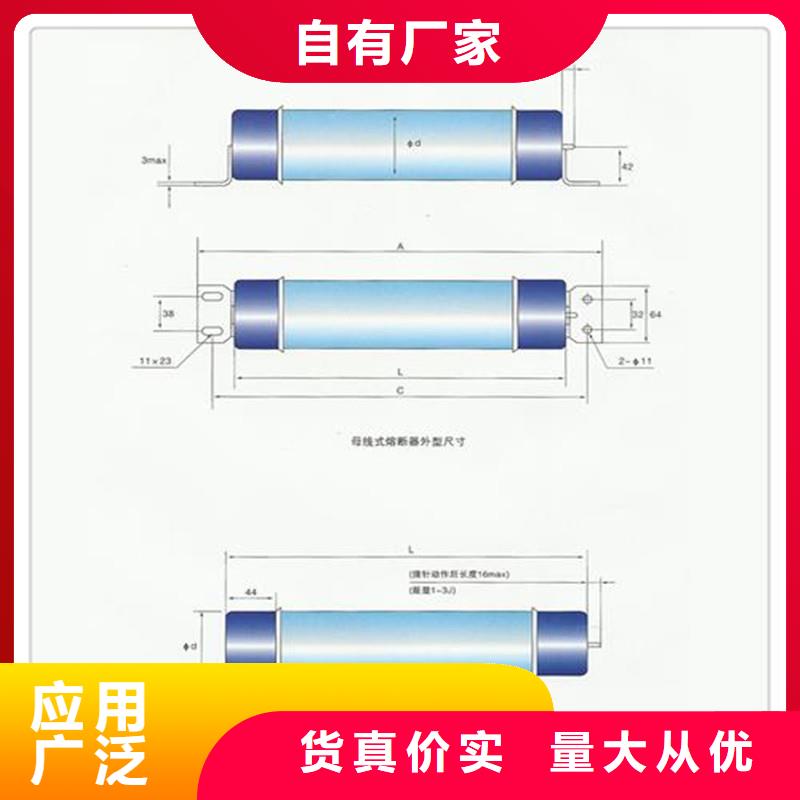 限流熔断器-氧化锌避雷器销售以质量求生存