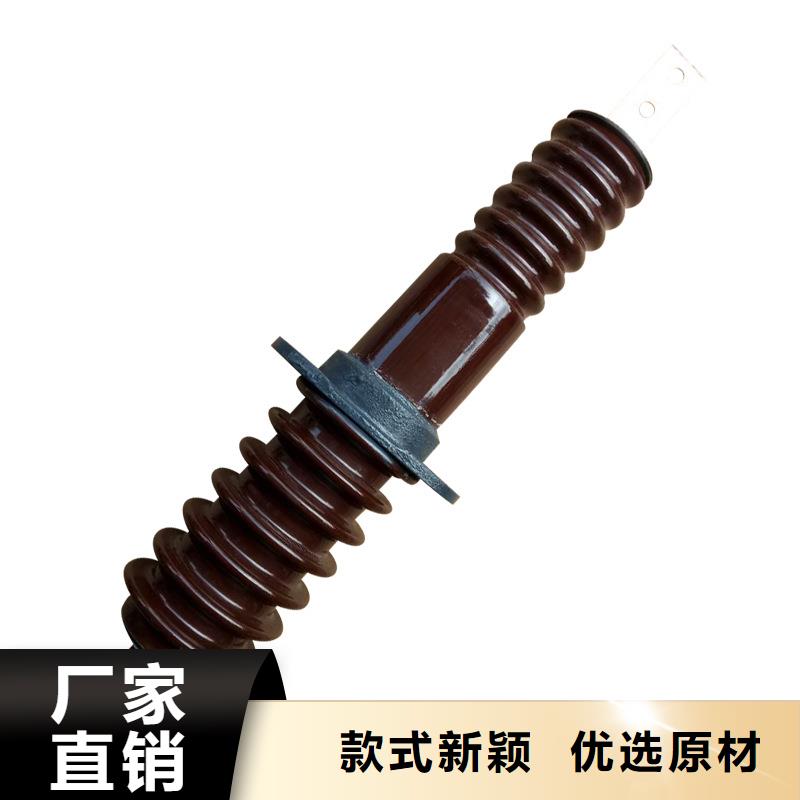 穿墙套管_真空断路器主推产品