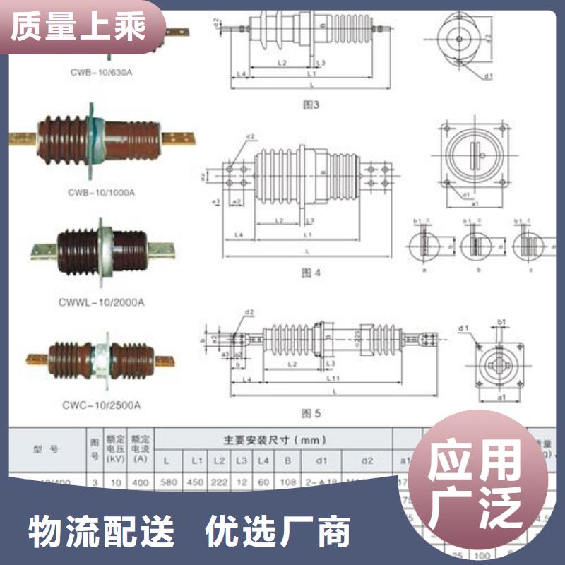 CWB-40.5/3150A高压套管