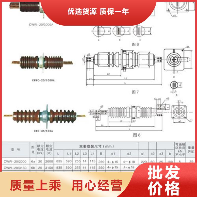 CWB-40.5/3150A高压套管